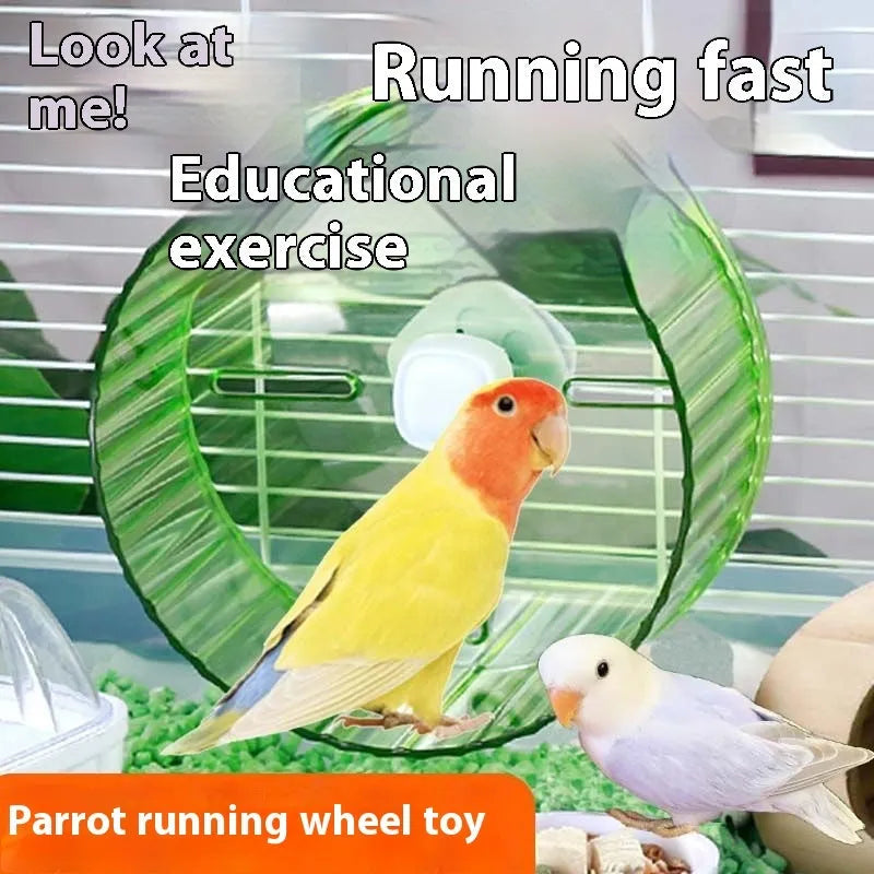 Parrot exercise running wheel toy in transparent plastic showing rotating design