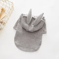 Small dog wearing grey knitted wool sweater with rabbit ears costume on hood
