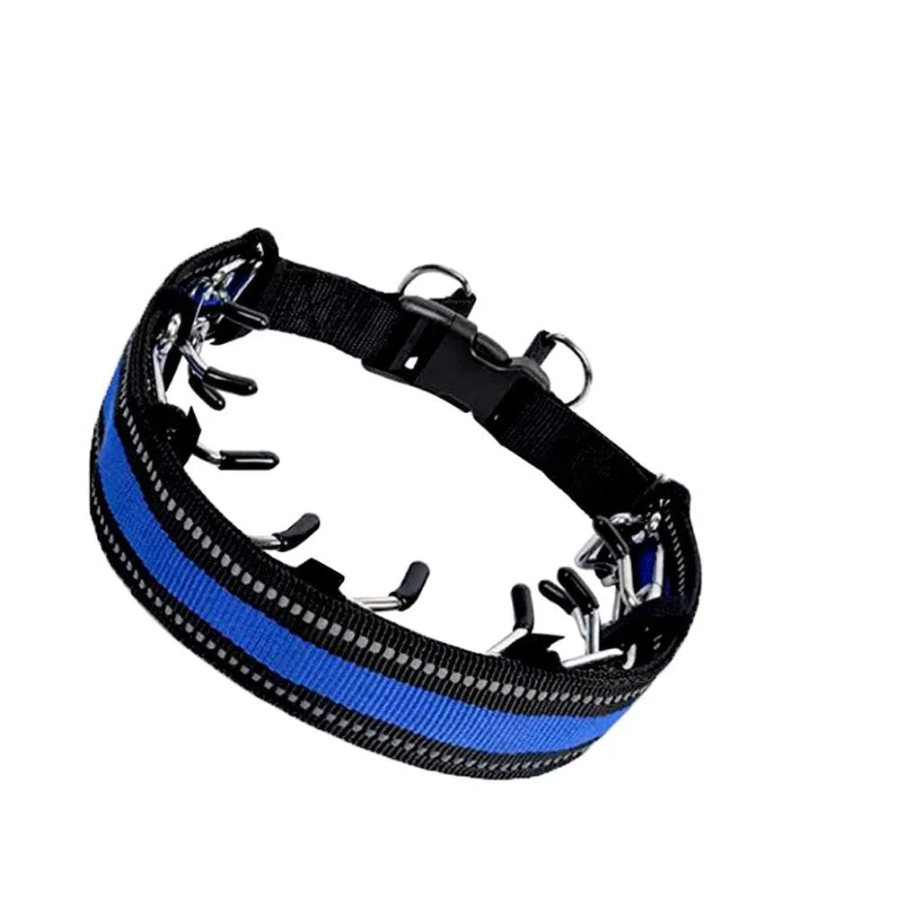 Dog training chain collar with a soft black neoprene cover shown on a size medium setting.