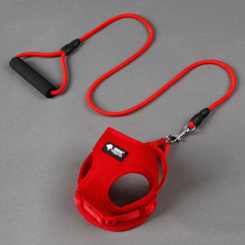 Blue round rope dog leash with foam handle and matching adjustable collar for small dogs.