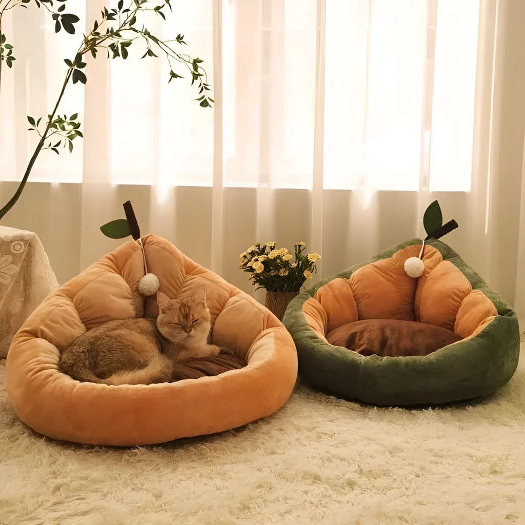 Cotton pet bed for cats and small dogs with removable cushion in three size options