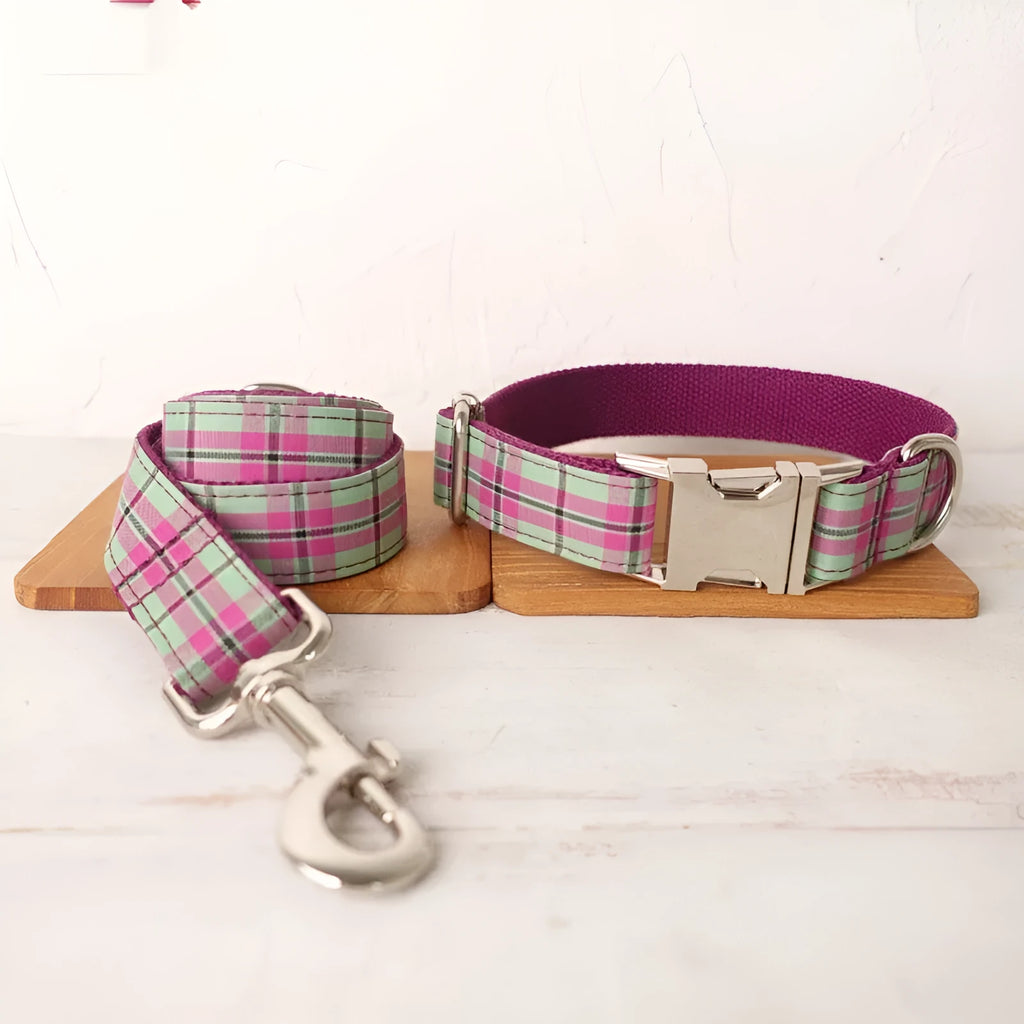 Mint green polyester dog collar and leash set shown together as matching walking accessories