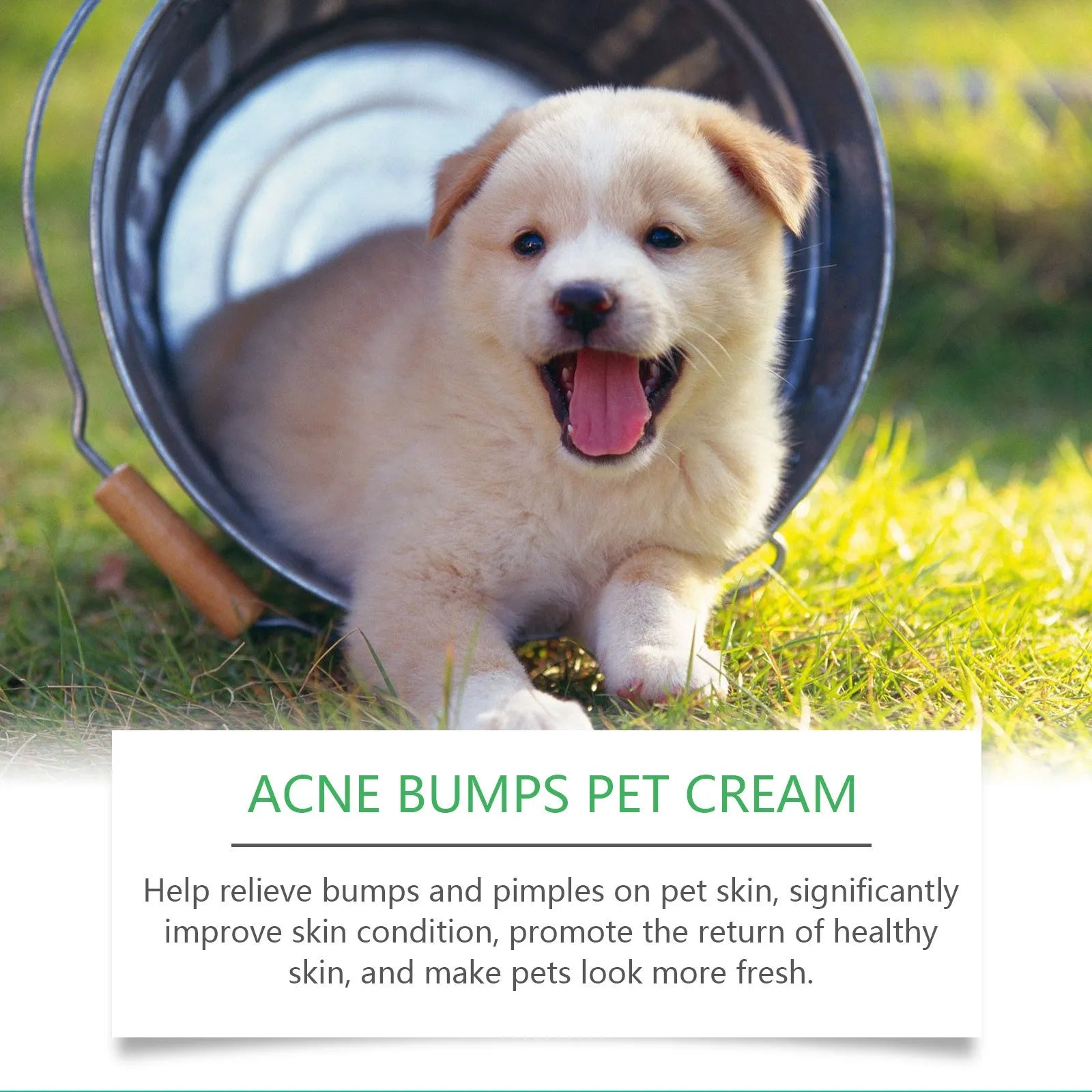 Pet neck cream 25g with aloe and tea tree oil for dog and cat skin care