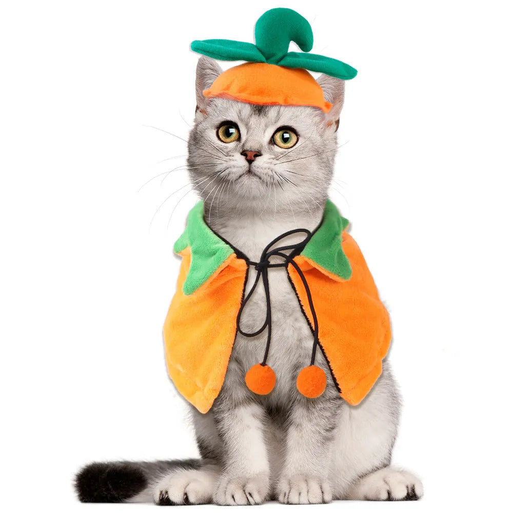 Reversible plush Halloween cloak costume for pets in pumpkin colours with size options