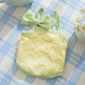 Small dog wearing a blue vest with a heart texture and back bow suspenders.