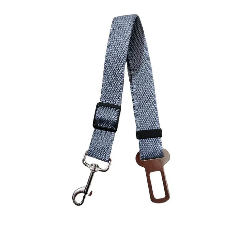 Retractable pet car safety belt in various colours for vehicle travel restraint