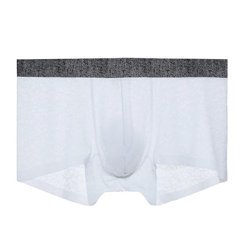 Men's lace boxer briefs in seven colours with seamless construction and low waist design