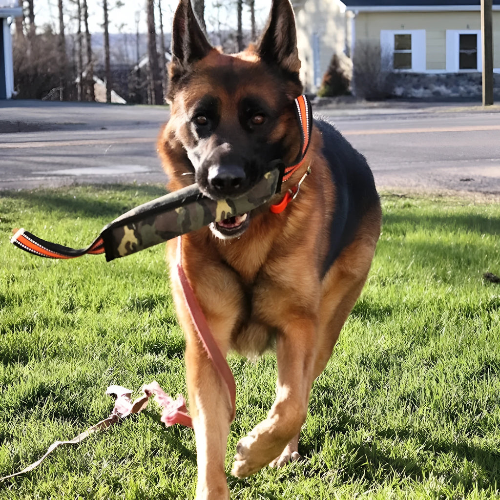Long yellow-edged jute dog bite stick with reflective strips for tug training.
