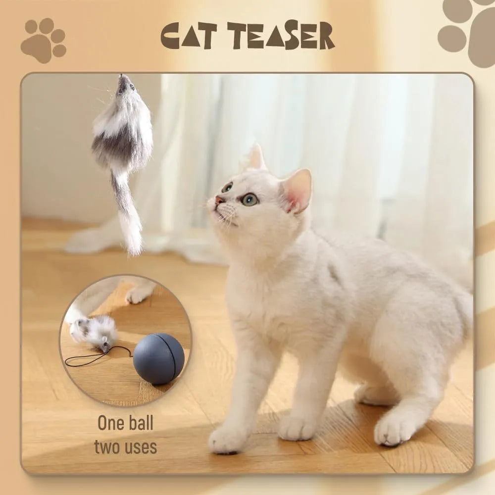 Automatic self-rolling blue and orange ball toy for cats and dogs on indoor floor
