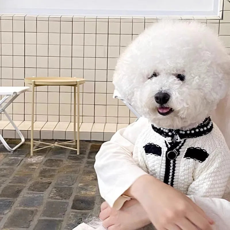 Korean style dog sweater with pearl trim collar in black or white colour for small dogs