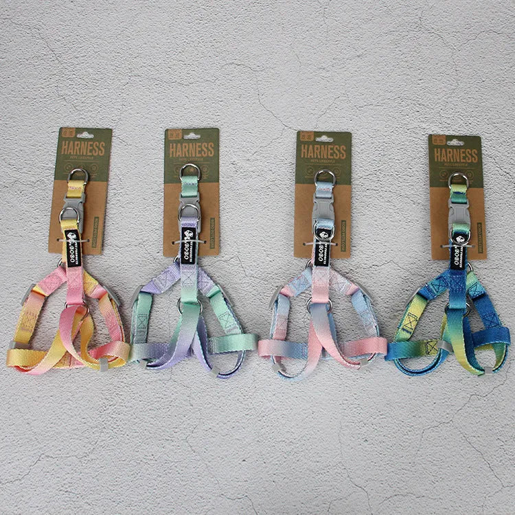 Gradient colour dog leash set with reflective nylon and adjustable chest strap in pink blue pattern