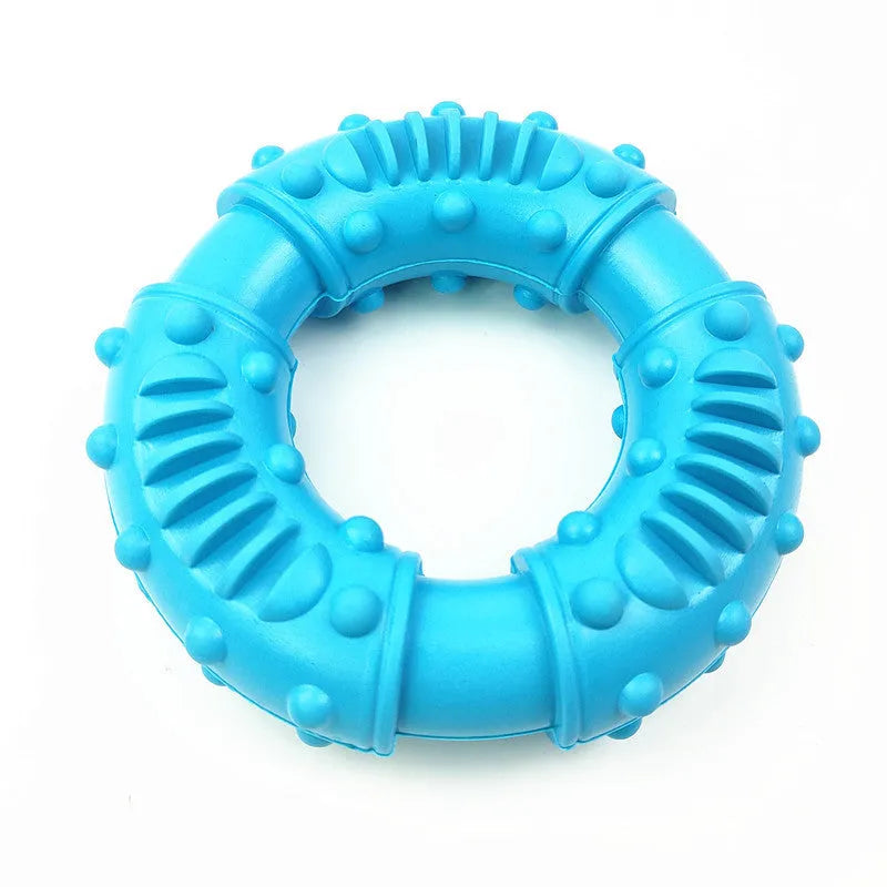 Blue hollow bouncy dog fetching stick toy for catch and chew play on grass