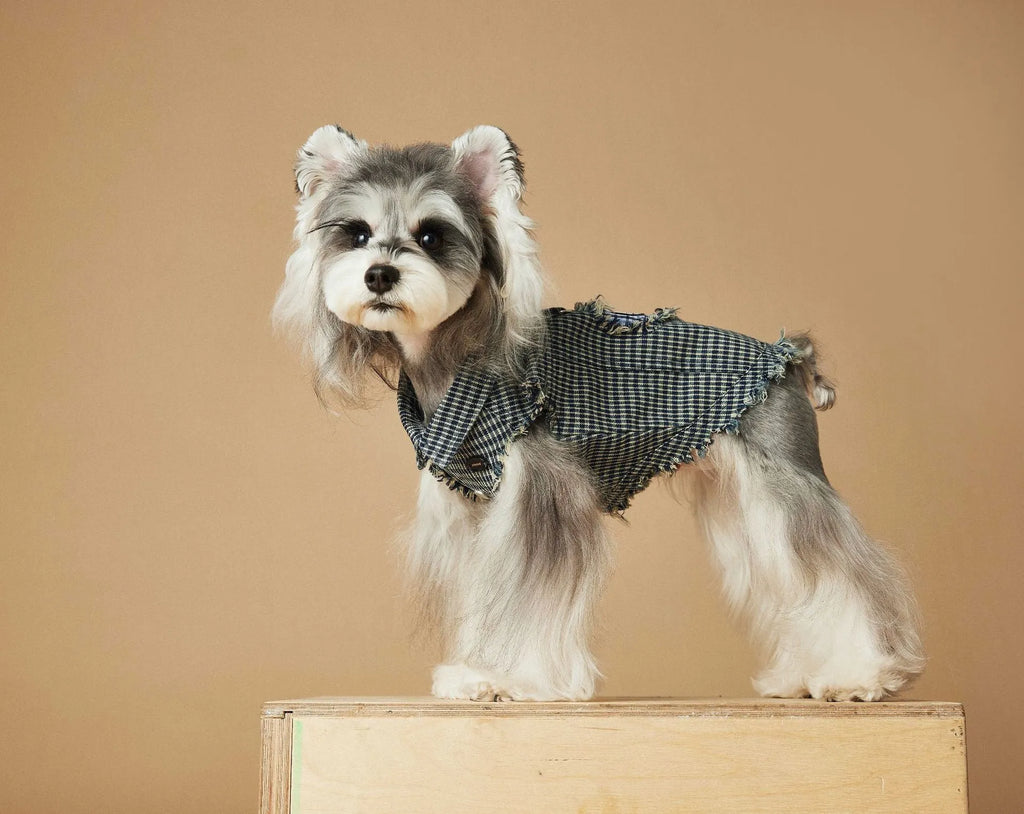Blue washed old plaid sleeveless denim dog vest in cotton, sizes XS to XXL, spring autumn pet clothing
