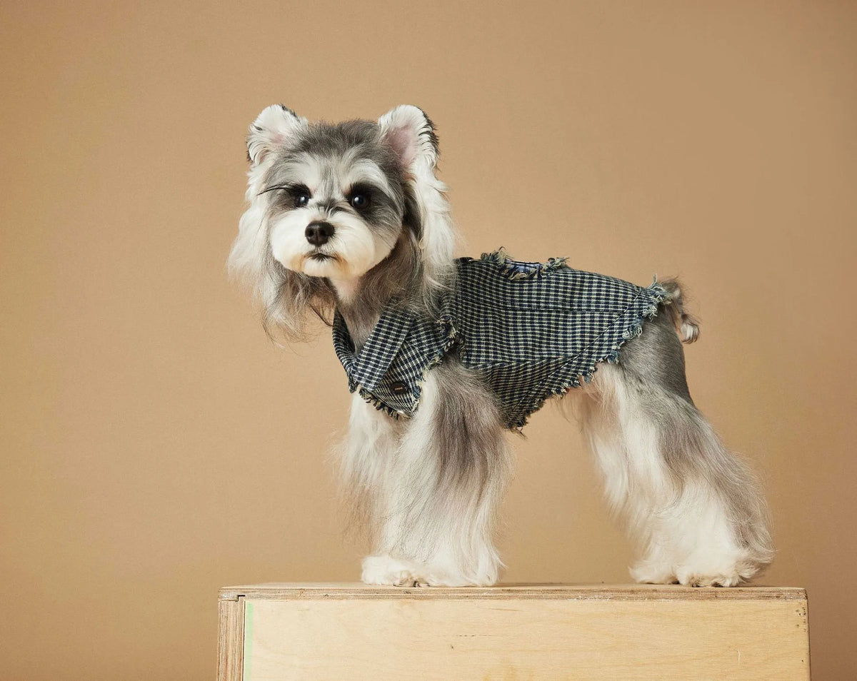 Blue washed old plaid sleeveless denim dog vest in cotton, sizes XS to XXL, spring autumn pet clothing