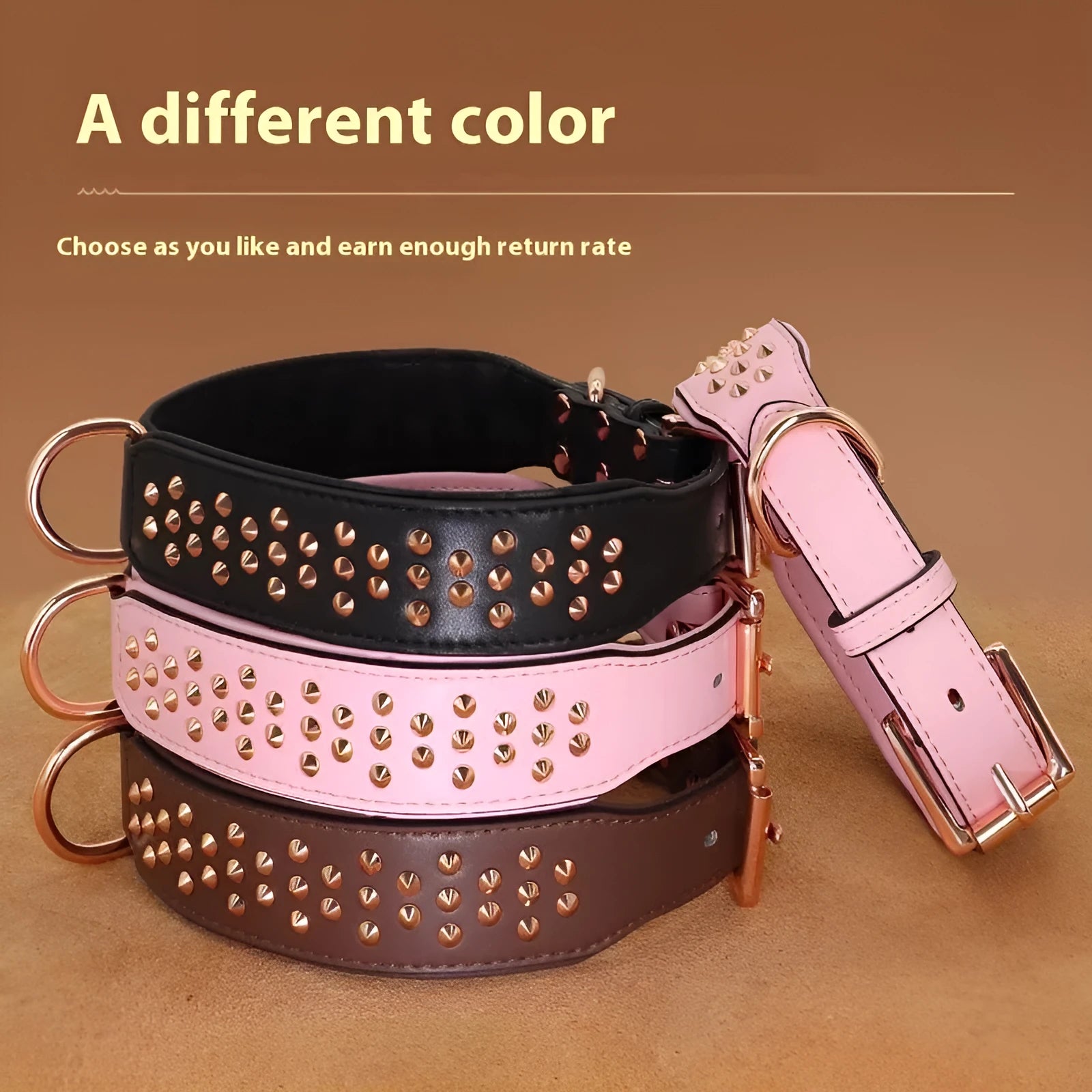 Brown leather dog collar with silver metal rivets on a black background.
