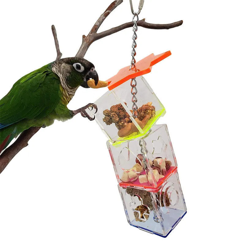 Clear acrylic parrot foraging toy measuring 5cm by 32cm for bird food and treats