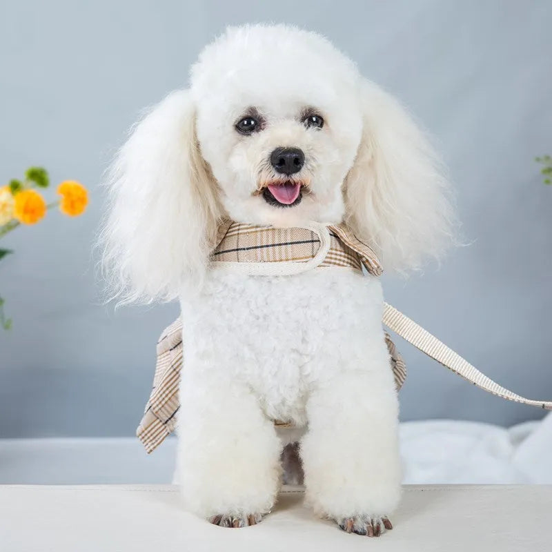Milky white polyester dog vest harness with integrated hand-holding rope shown on a dog's chest.