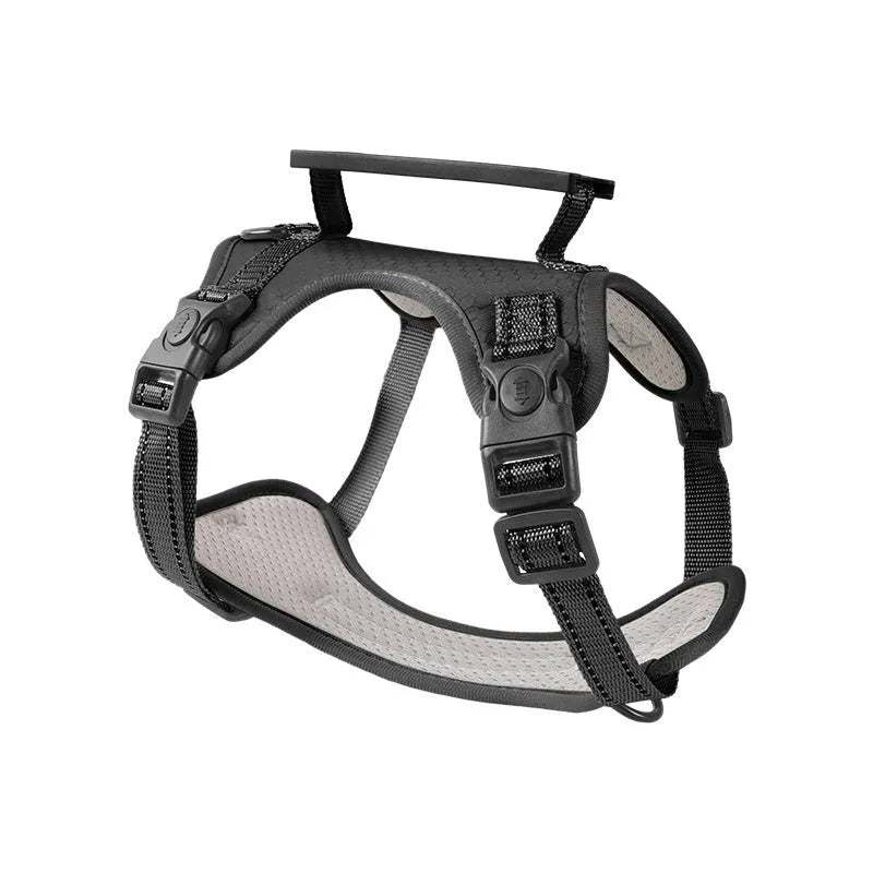 Polyester dog chest harness and lead set in various colours including red, blue, and yellow.