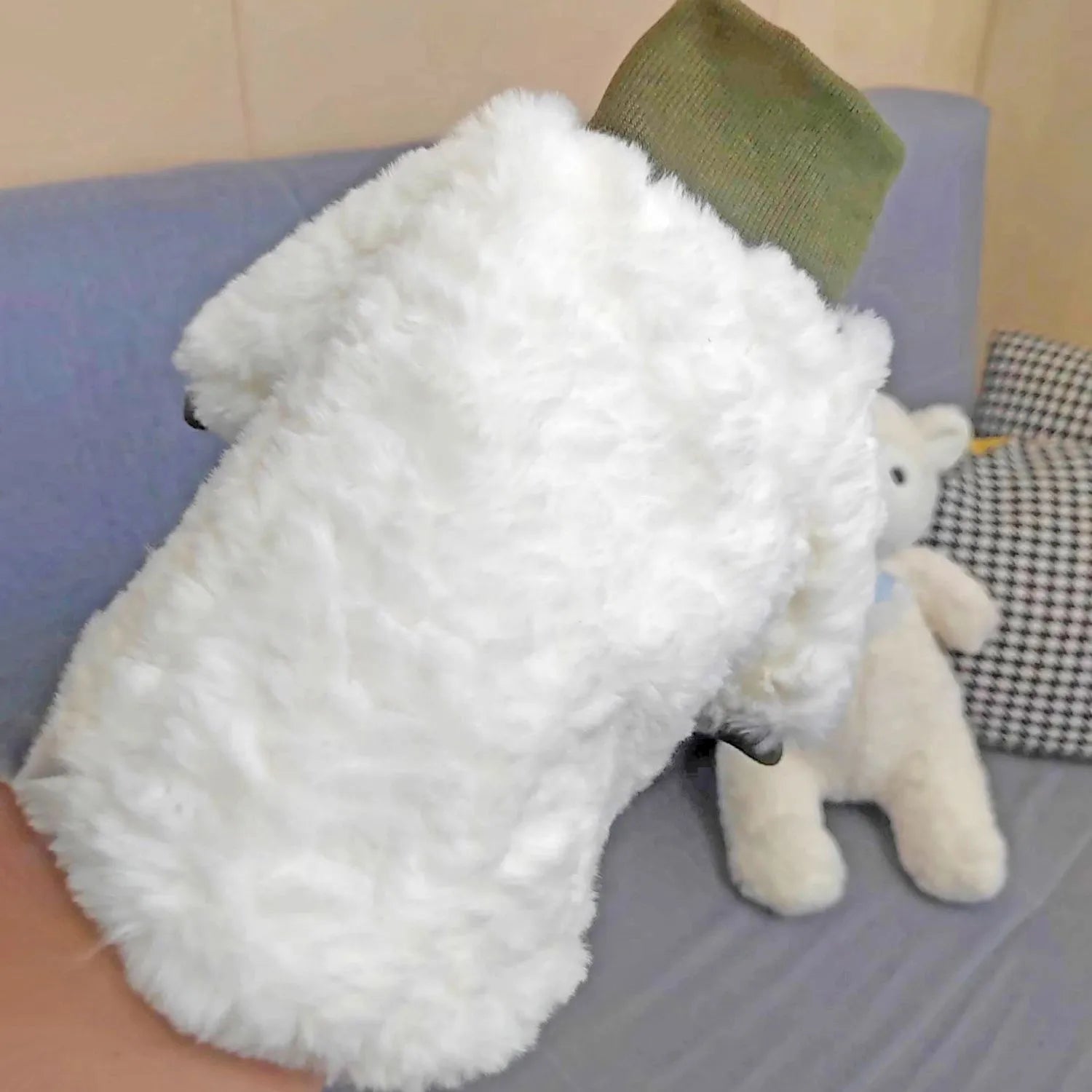 Creamy green turtleneck dog coat for small and medium-sized dogs showing high collar design