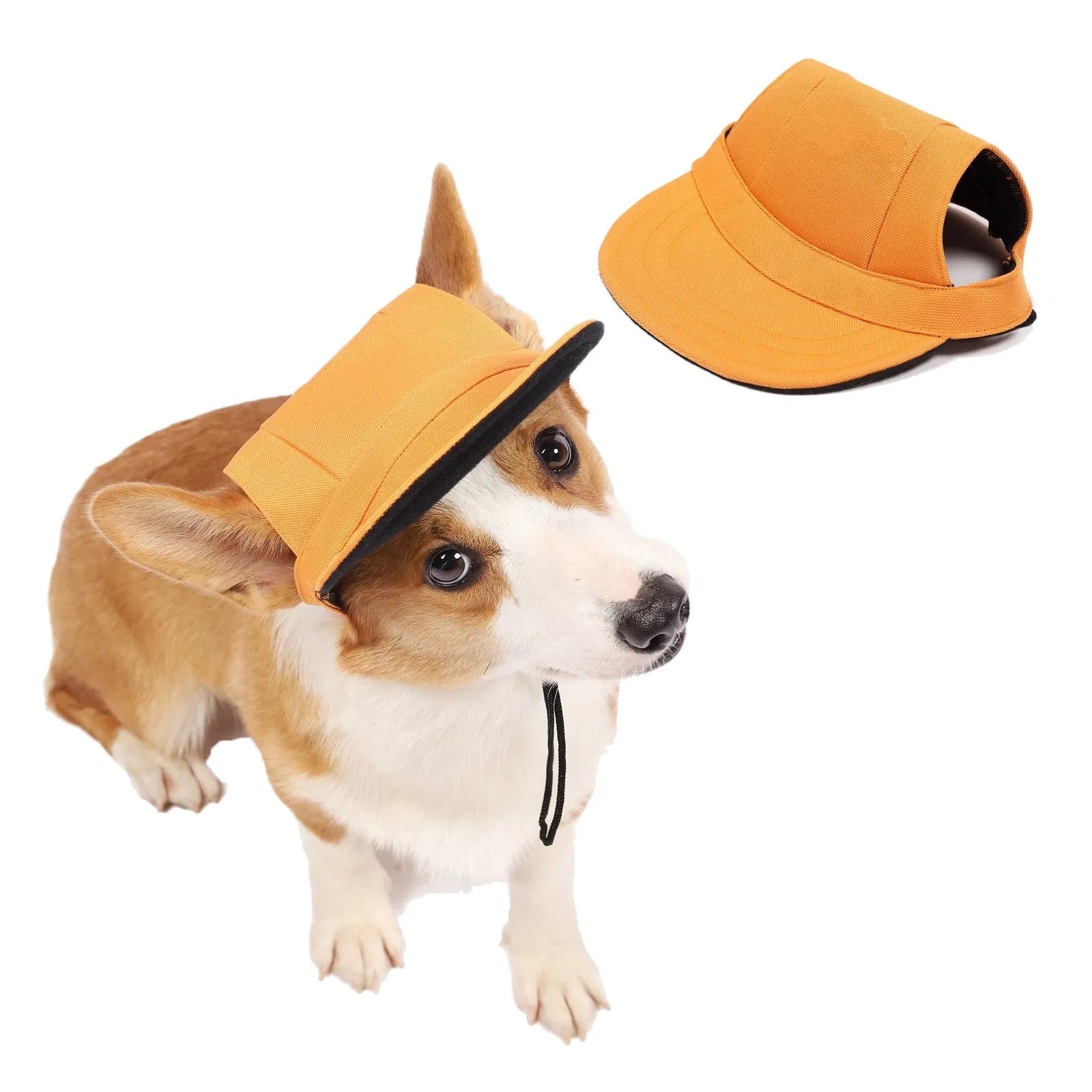 Pet supplies Oxford baseball-style dog sun hat in natural colour on a small dog