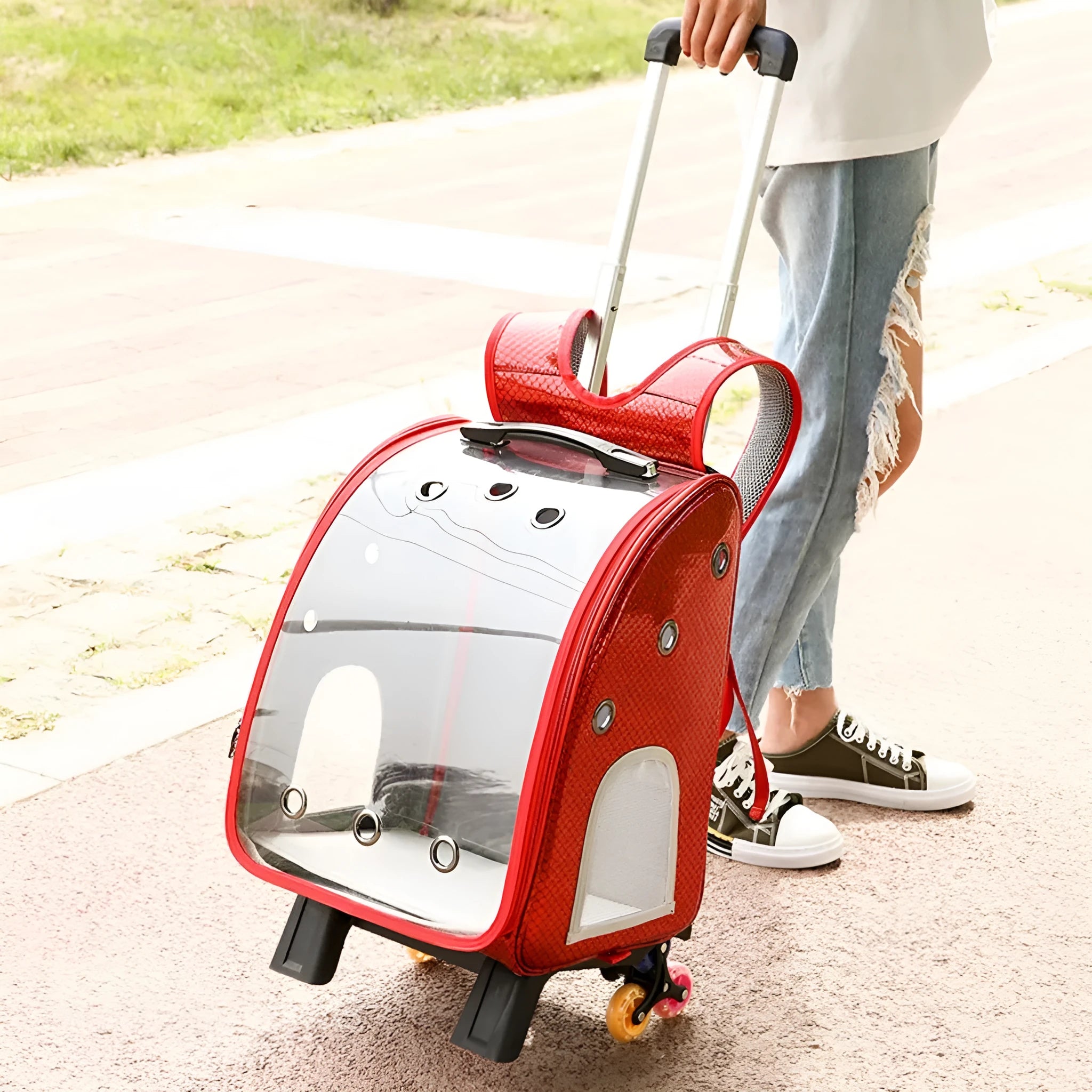 Blue transparent folding pet trolley bag with shoulder straps and a clear acrylic pet compartment.
