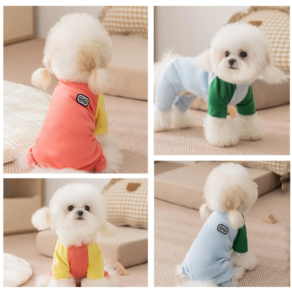 Small dog wearing a blue fleece jumpsuit with green sleeves and a cartoon patch on the chest