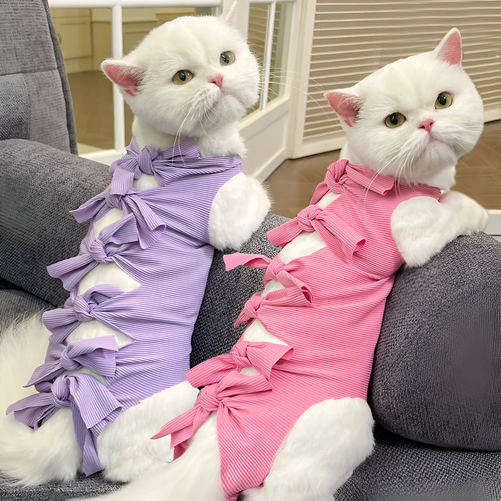 Blue lace-up back cat recovery suit for post-sterilisation care on a grey cat