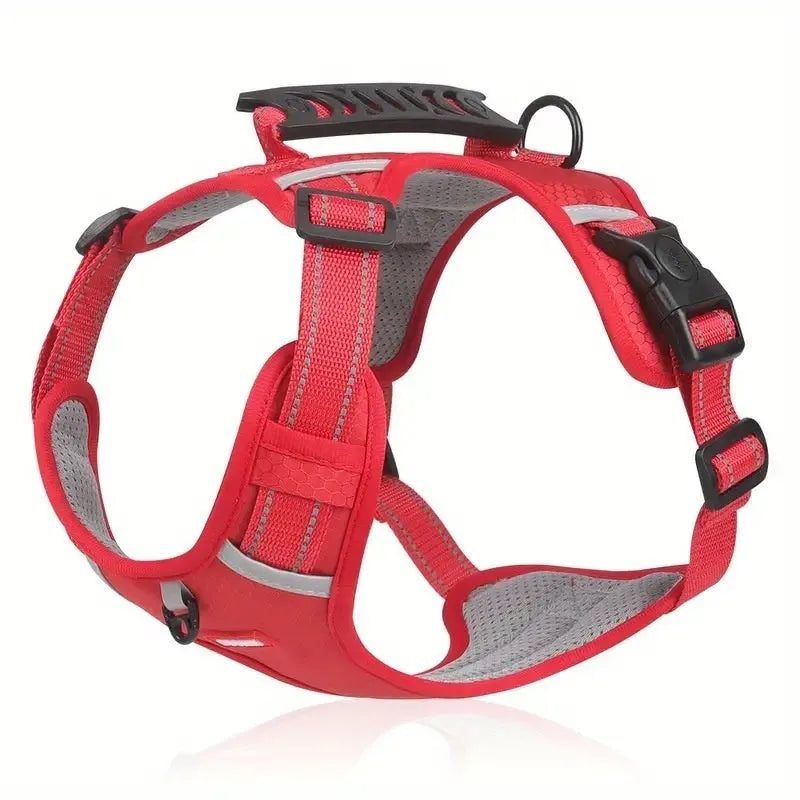 Adjustable polyester dog chest harness and matching lead in red, shown on a dog.