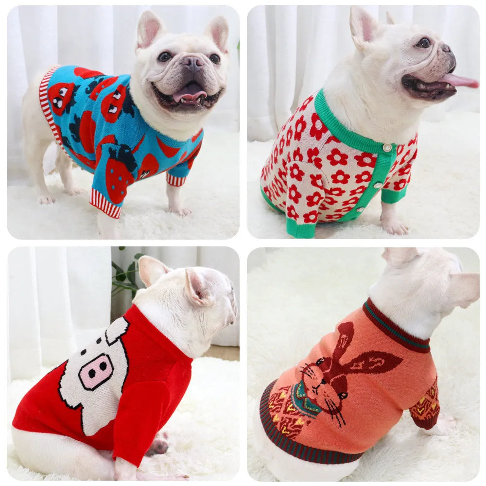 Cartoon Jarre Aero Bull design dog sweater in wool for autumn and winter, shown in rabbit, red pig, flower button, and strawberry patterns.
