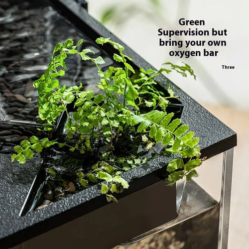 Small acrylic integrated lazy aquarium with circular filter, built-in lamp, external light, and heating mat for desktop use