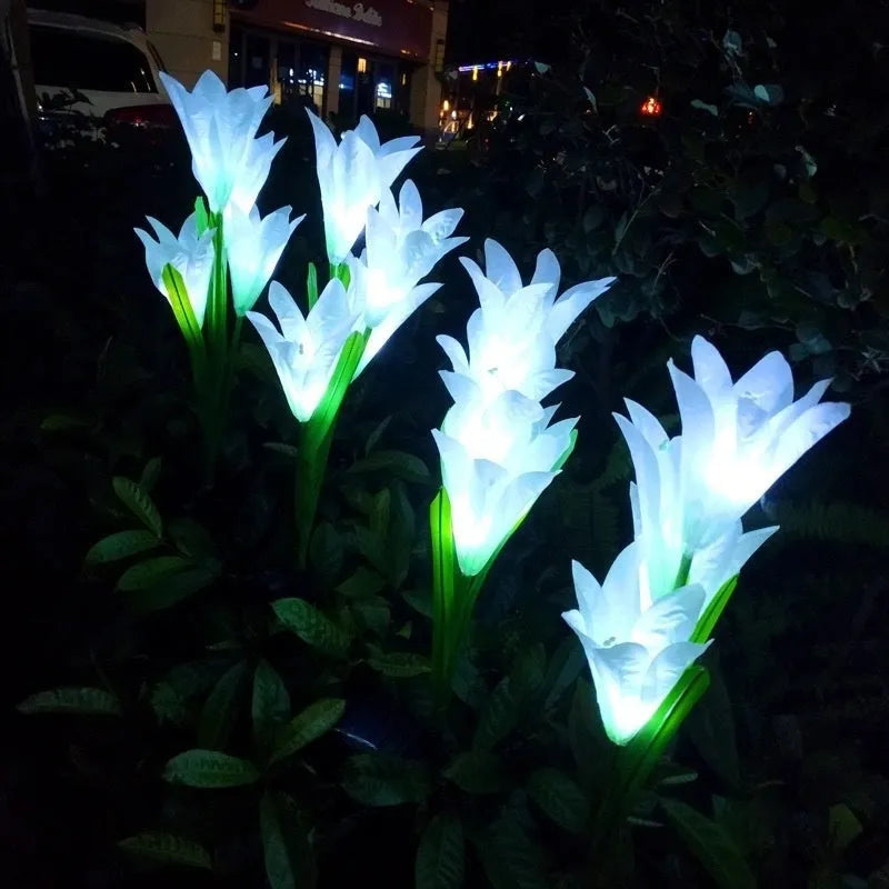 Colour LED solar-powered flower-shaped ground lamp for garden lighting.