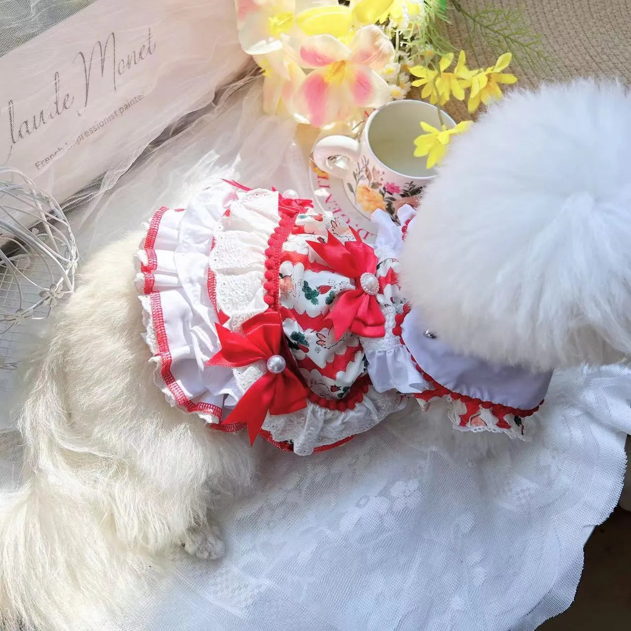 Rabbit-themed princess skirt for a small dog, shown in size M for dogs approx 2.5-3.5kg.