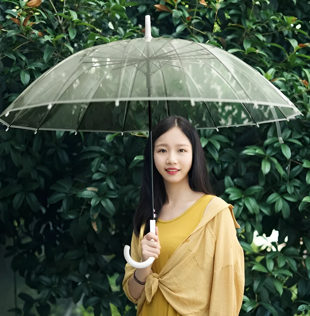 Transparent umbrella with long handle showing 16 rib construction and large canopy