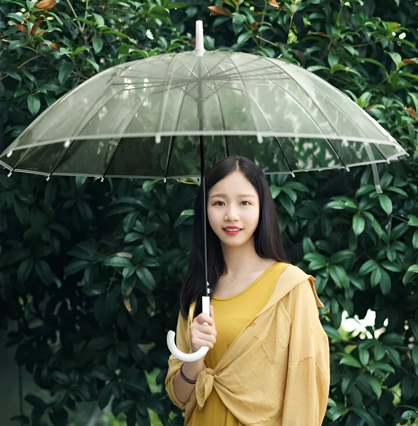 Transparent umbrella with long handle showing 16 rib construction and large canopy