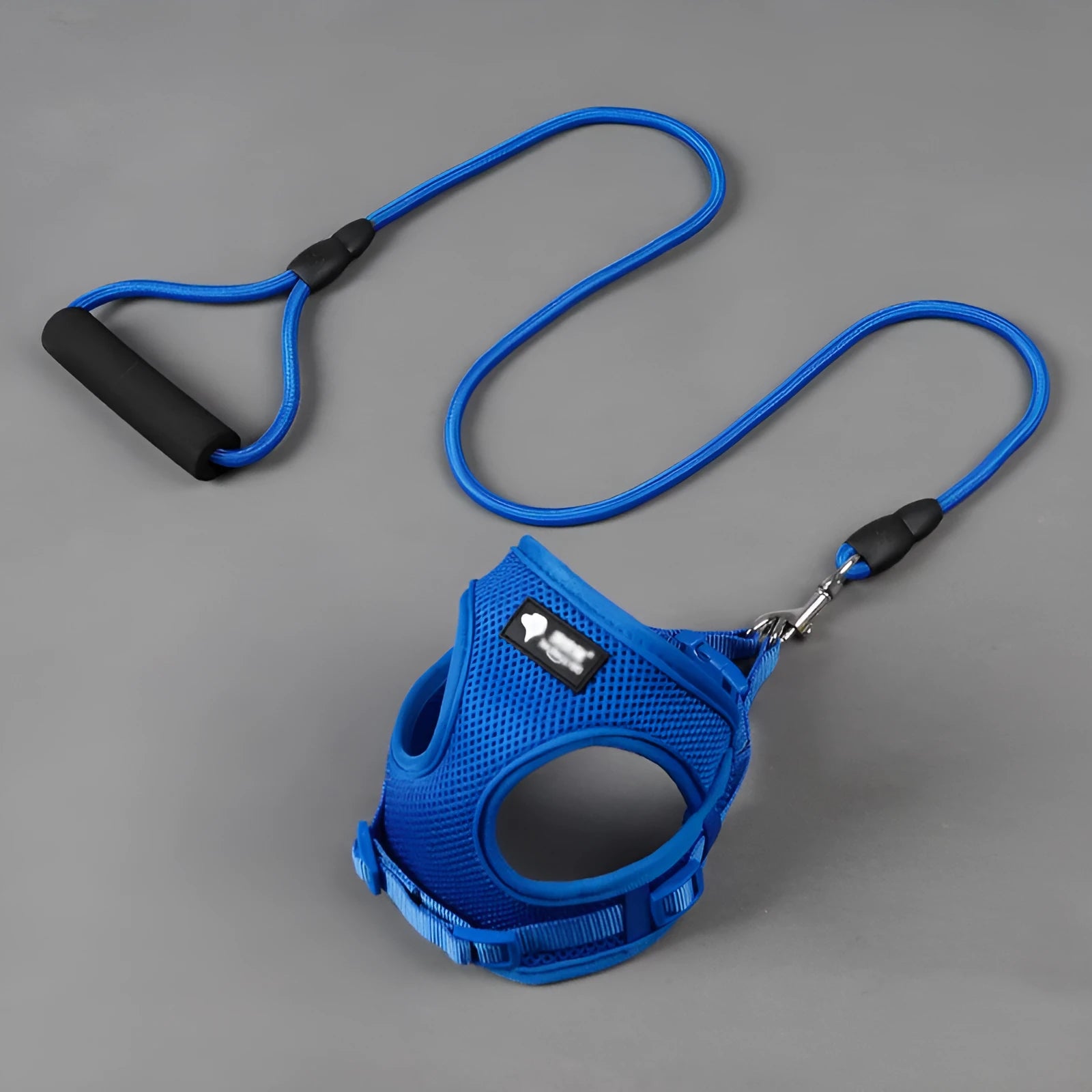Blue round rope dog leash with foam handle and matching adjustable collar for small dogs.