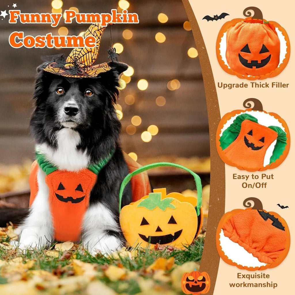 Orange plush pumpkin Halloween costume on a small dog, showing pullover design and fluffy material.