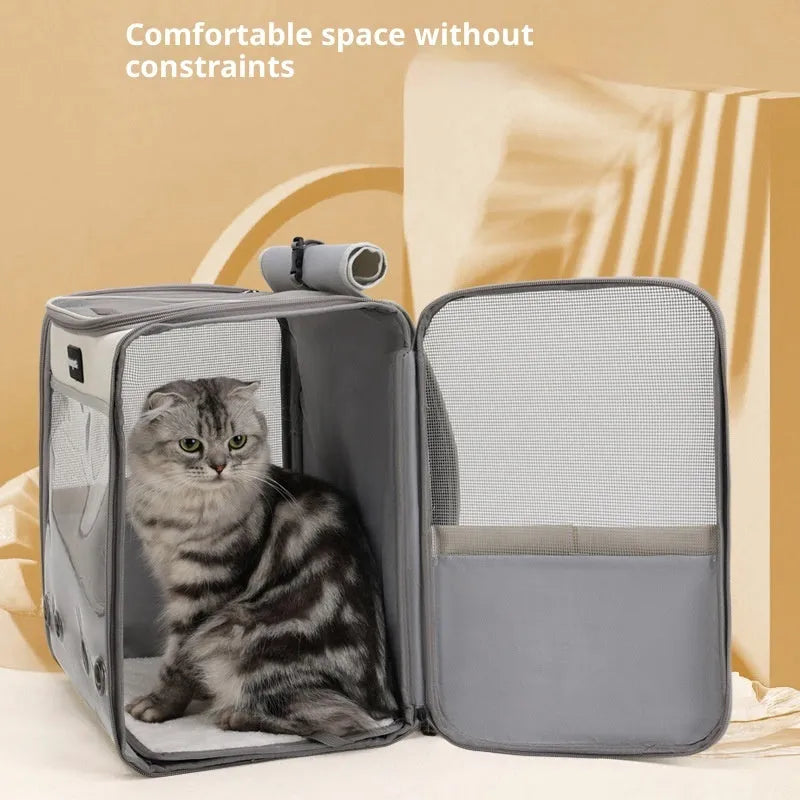 Portable pet backpack in PVC Oxford with solid colour design, available in grey, yellow, green or colourful.