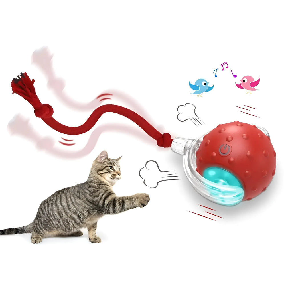 Interactive cat toy ball with three modes and chirping bird sound on a wooden floor