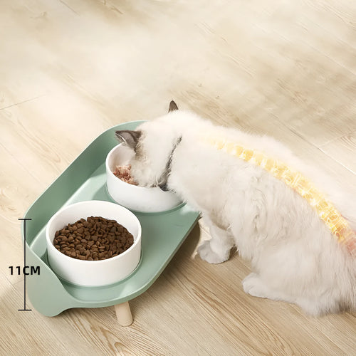 Green adjustable tilted double pet food bowl with spill-proof edges for cat and dog feeding