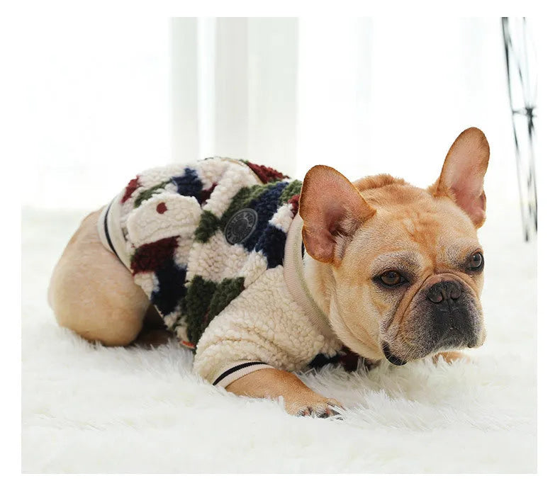 Dog hooded coat in camouflage colour, two-legged jacket style on a dog, with hood up, outdoor setting