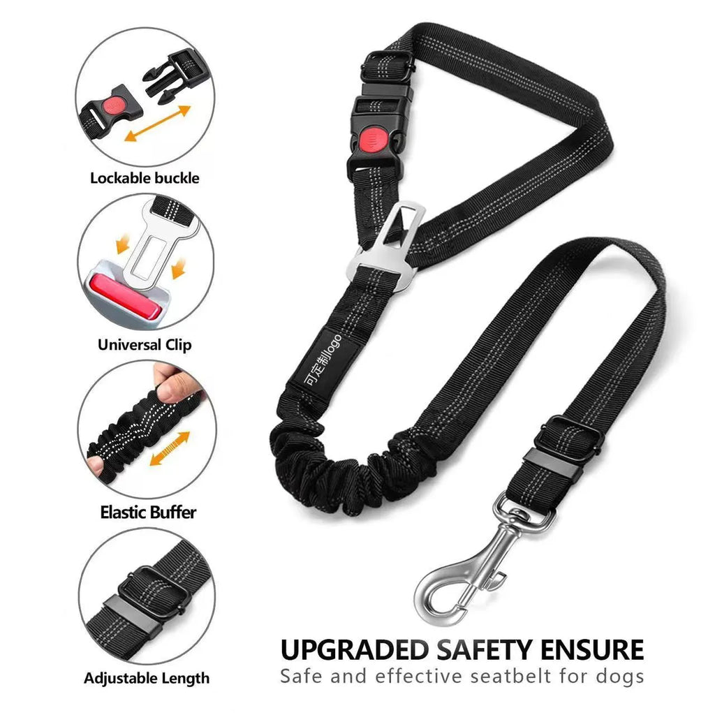 Nylon dog leash with metal buckle in multiple colour options including Army Green and Rose Red