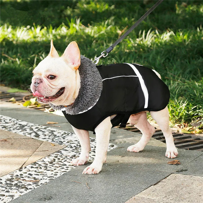 Thick warm dog vest with waterproof nylon, fleece lining, PP cotton filling, reflective and adjustable, black blue purple red