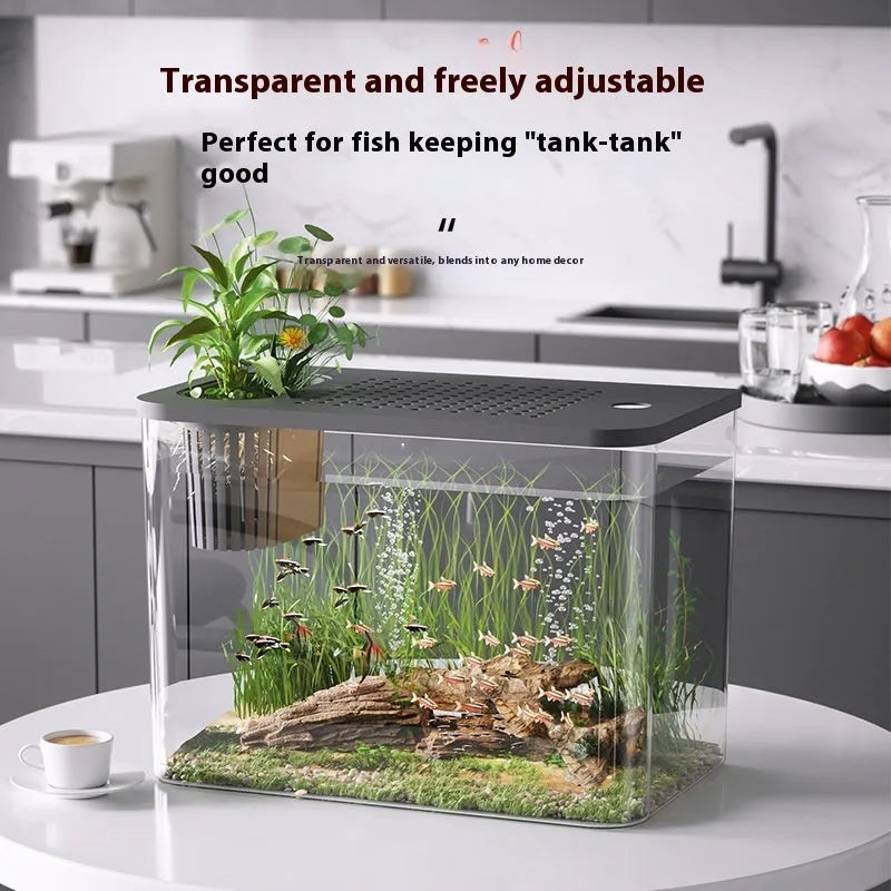 Compact black plastic betta fish tank with lid, dimensions 32cm long by 18.5cm wide.