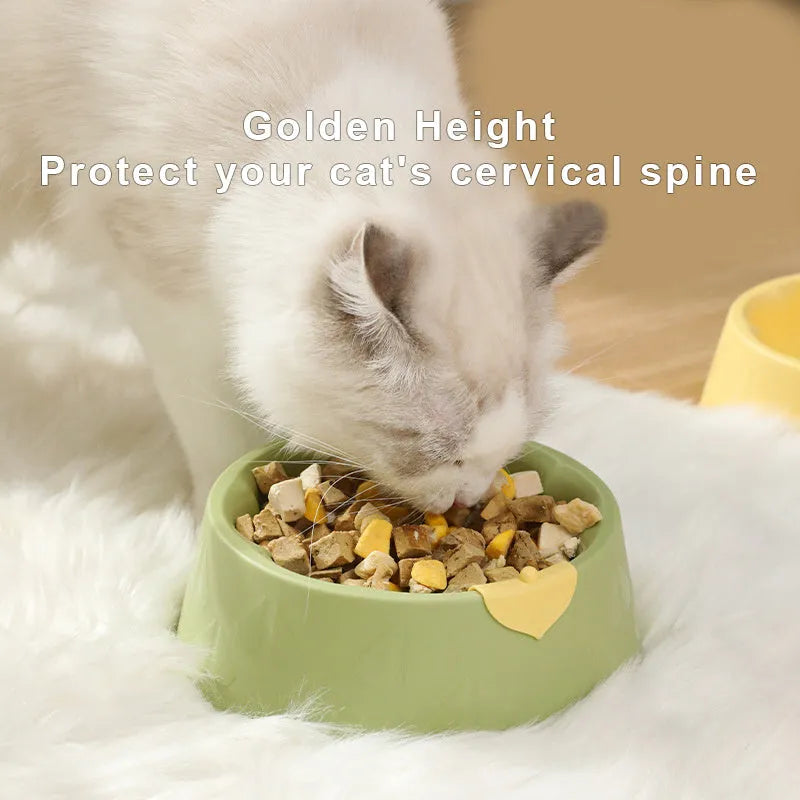 Green plastic flower-shaped double pet bowl for dog and cat food and water.