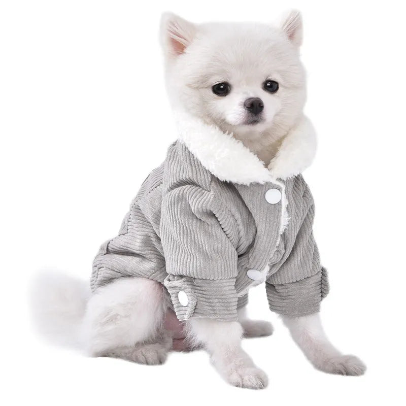 Lambswool grey fleece lined dog vest for winter warmth shown on a small dog.