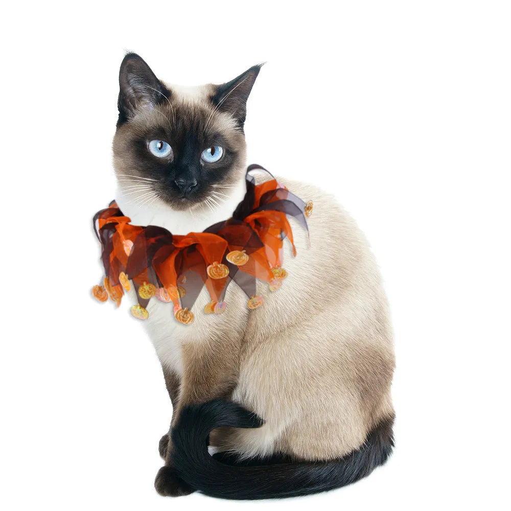 Colourful tie-dye dog collar on a white background showing blue, green, Halloween and Christmas patterns.
