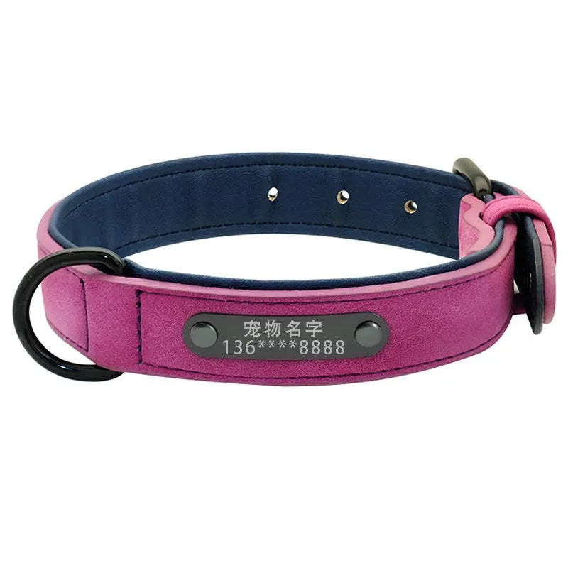 Custom dog tag identity card collar with microfiber leather surface, double D buckle, and painted alloy lock in multiple colours