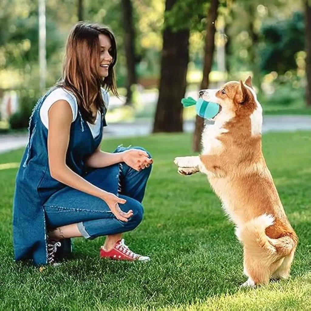 Blue durable rubber interactive treat dispensing ball dog toy