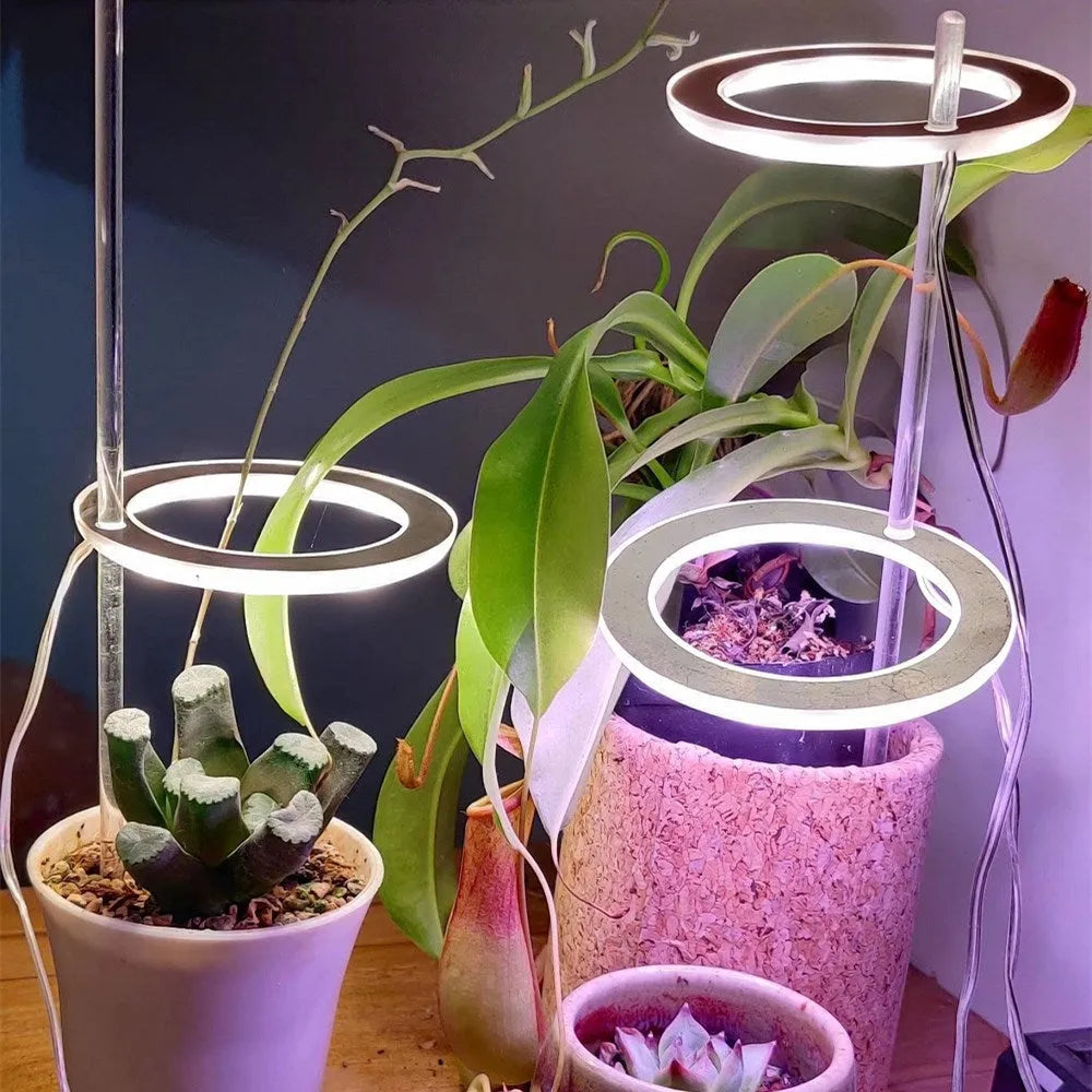 USB-powered full spectrum LED grow light angel ring phytolamp for indoor plants