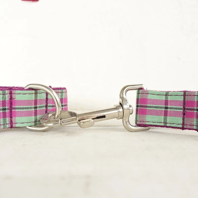 Mint green polyester dog collar and leash set shown together as matching walking accessories